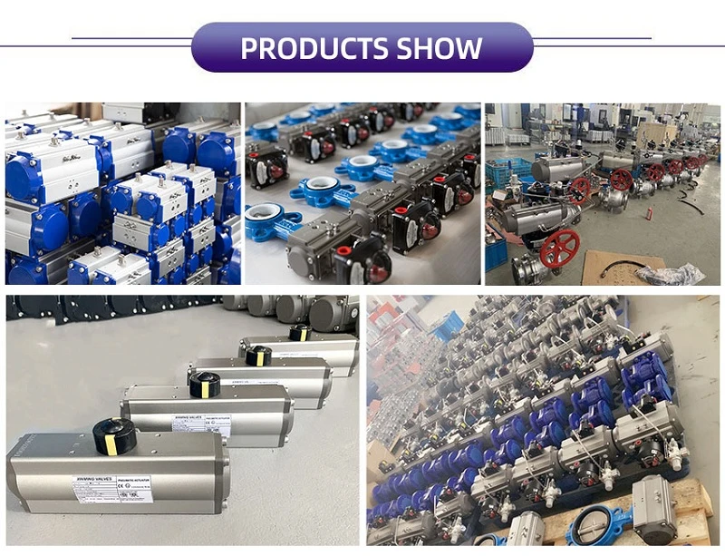 Pneumatic Rotary Actuator Pneumatic Rotary Actuator