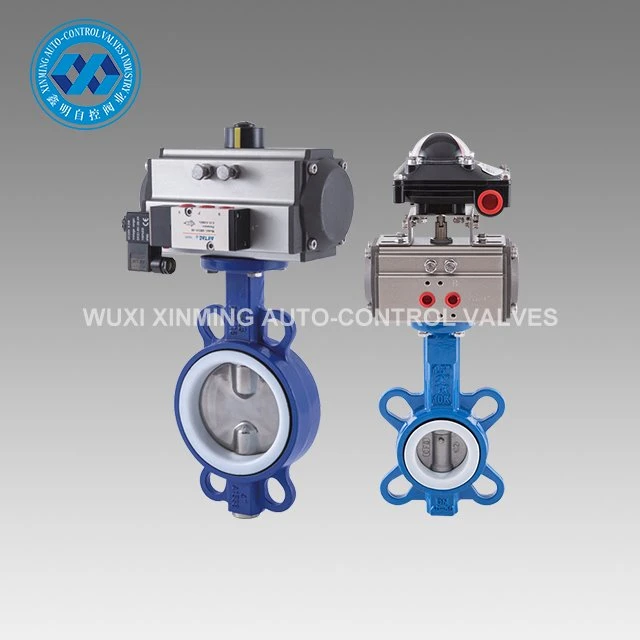 Ductile Iron Papiyon Valv