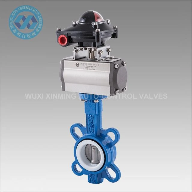 Pneumatic actuator wafer papiyon valv