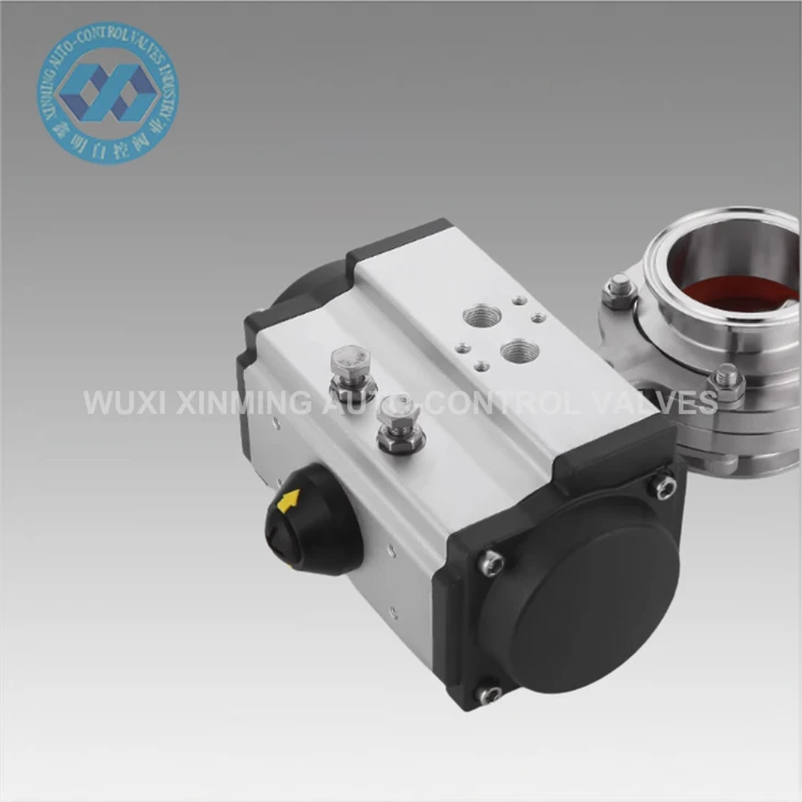 90 degre Rotary Double Enterimè Pneumatic Valv actionne