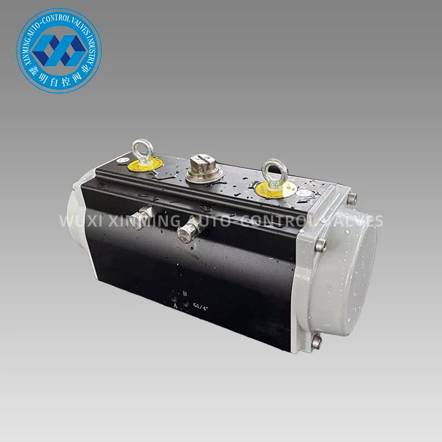 Anodize Pneumatic Actuator
