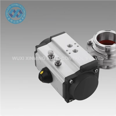 90 degre Rotary Double Enterimè Pneumatic Valv actionne