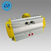 Angilè konjesyon serebral Pneumatic actuators