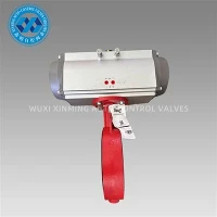 Bray Papiyon Valv Actuator