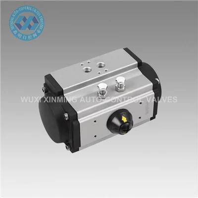 Ba antretyen pri Pneumatic actionneur