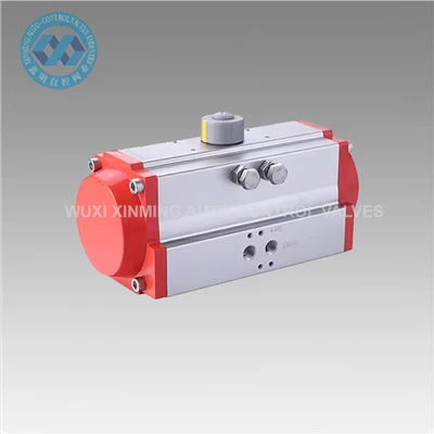 Pneumatic actionneurs