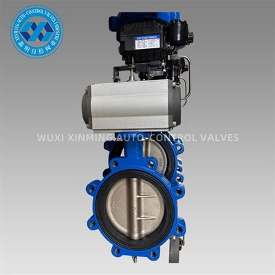 Pneumatic Papiyon Valv Actuator