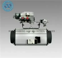 SR Pneumatic Rotary actionneur