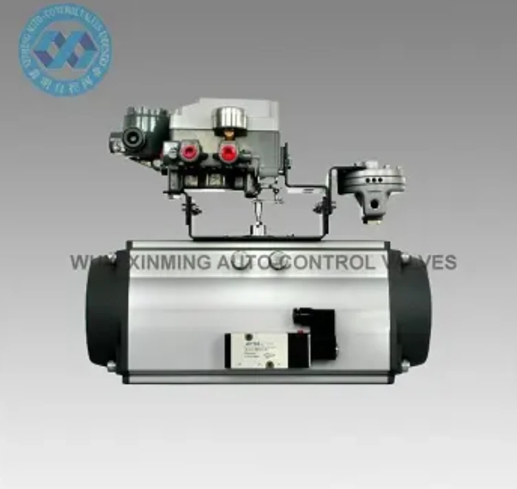 SR Pneumatic Rotary actionneur